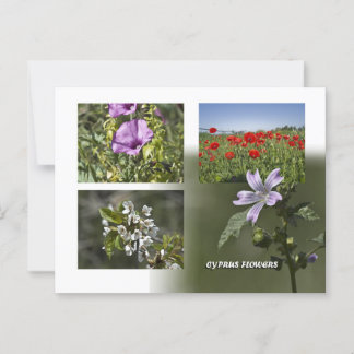 Blommor till Cyperns vykort