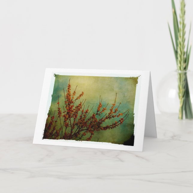 Blommor, tillfriskna snart kort (Framsida)