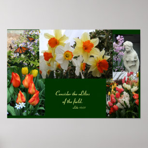 Blommor "Titta på liljorna från fält" poster