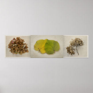 blommor tryptich poster