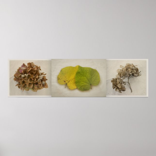 blommor tryptich poster (Framsidan)