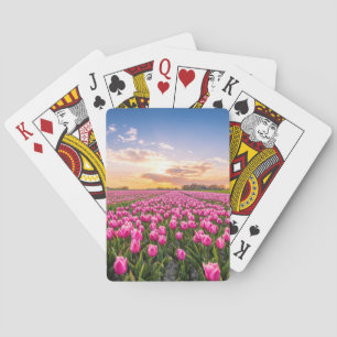 Blommor Tulips South Holland, Nederländerna Casinokort