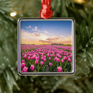 Blommor   Tulips South Holland, Nederländerna Julgransprydnad Metall