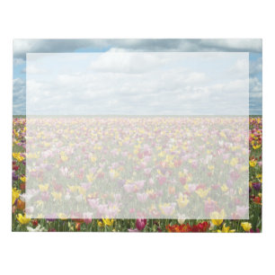 Blommor Tulips Willamette Valley Oregon Anteckningsblock