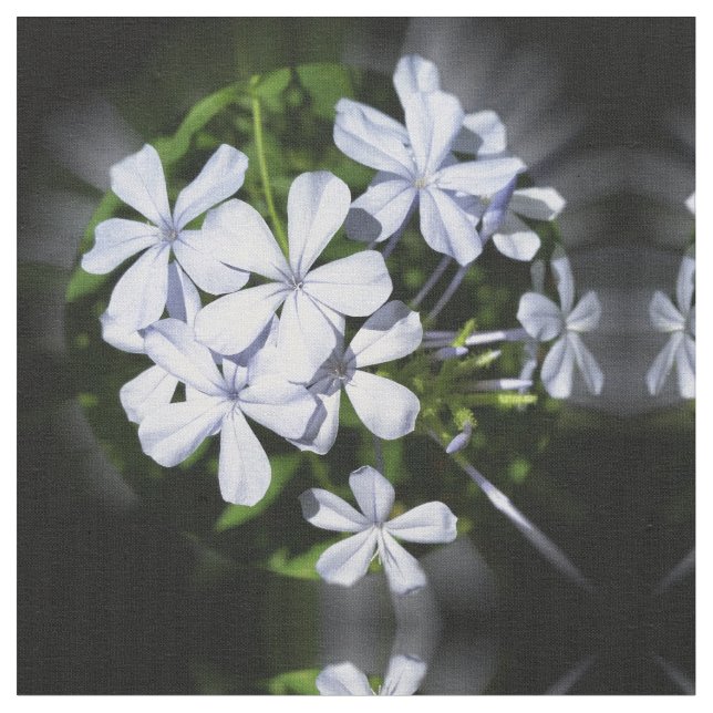 Blommor Tyg (Närbild)