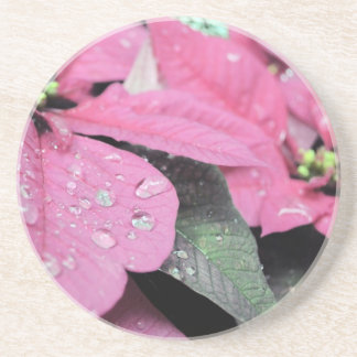 Blommor Underlägg Sandsten