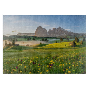 Blommor Vår Alpe di Siusi Langkofel
