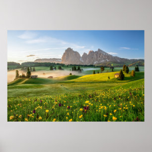 Blommor Vår Alpe di Siusi Langkofel Poster