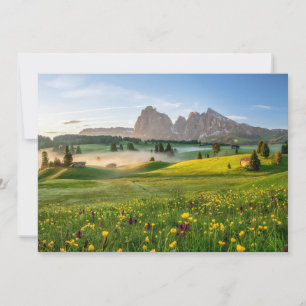 Blommor Vår Alpe di Siusi Langkofel Tack Kort