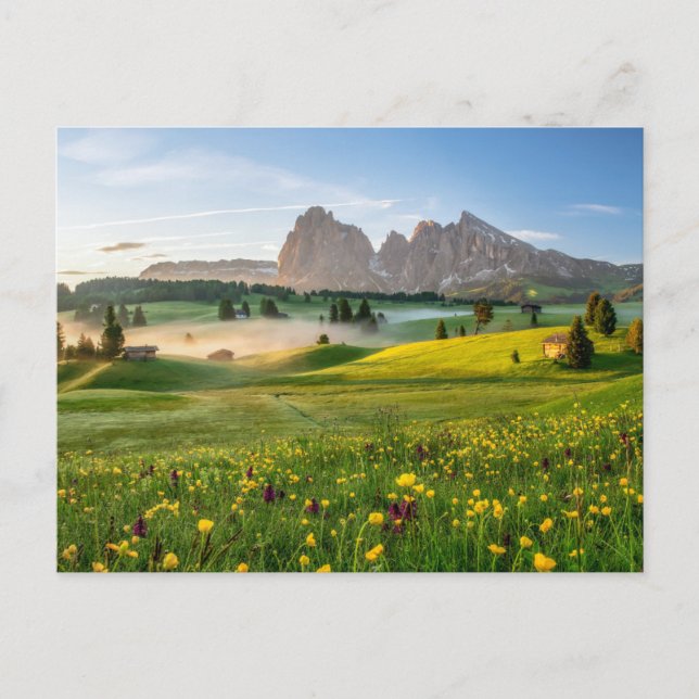 Blommor | Vår Alpe di Siusi Langkofel Vykort (Framsida)