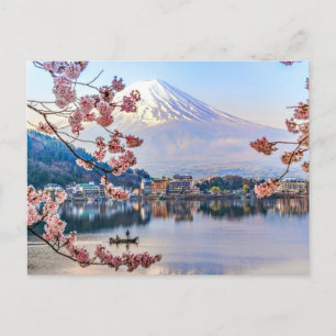 Blommor Vår Cherry Blommar Japan Vykort