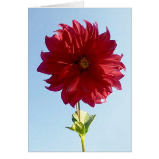 Blommor vid Himmel Hälsningskort