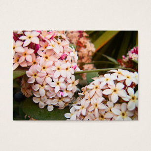 Blommor Visitkort
