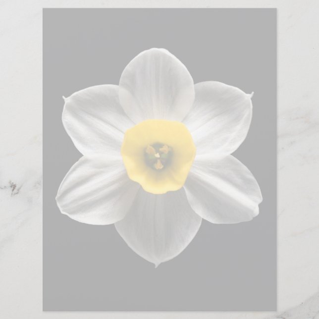 Blommor | Vit avodil Flower (Framsida)