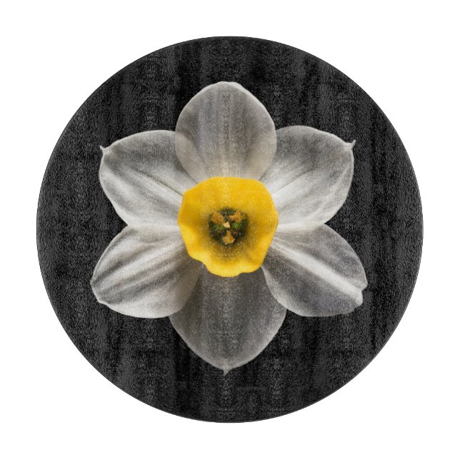 Blommor | Vit avodil Flower (Framsidan)