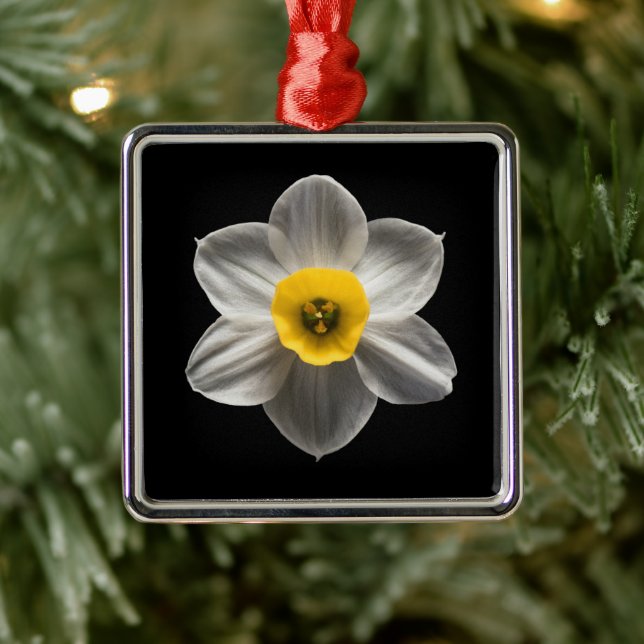 Blommor | Vit avodil Flower Julgransprydnad Metall (Träd)