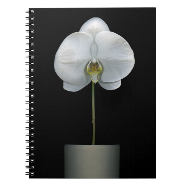Blommor | Vit, orchid blomma Anteckningsbok (Framsidan)