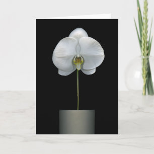 Blommor Vit, orchid blomma Kort