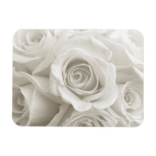 Blommor VIT ROS Magnet