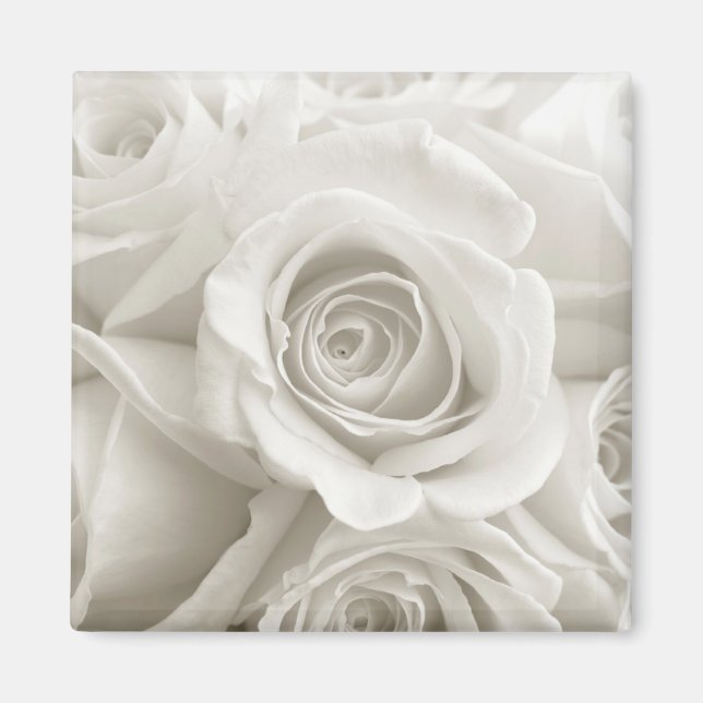 Blommor | VIT ROS Magnet (Framsidan)