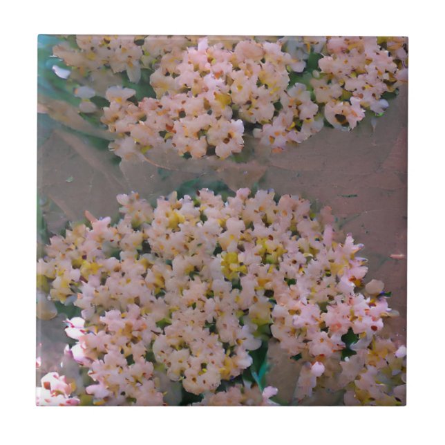 Blommor vita och rosa digitala konst kakelplatta (Framsidan)