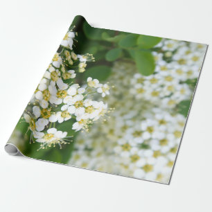 Blommor, vita växter, bildskärmsliknande landskap. presentpapper