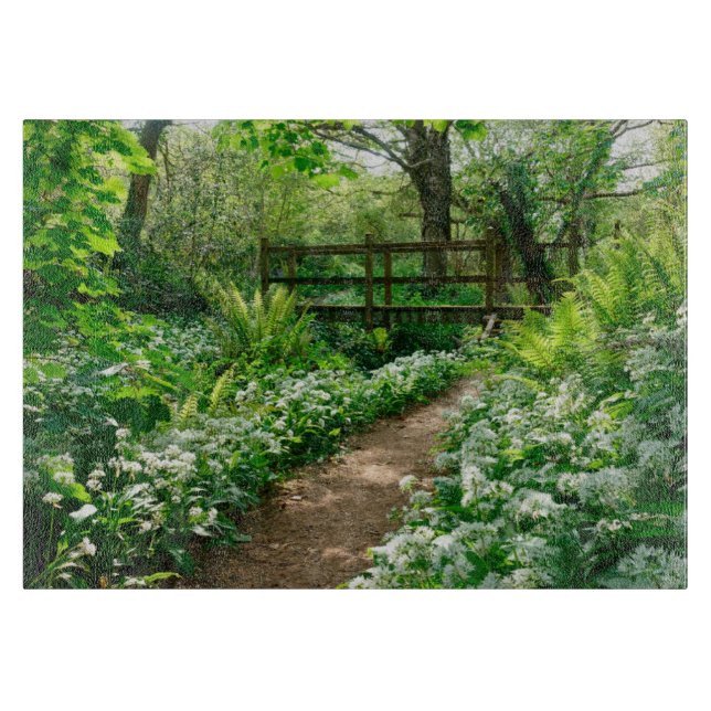 Blommor | Vitblommor i skogen (Framsidan)