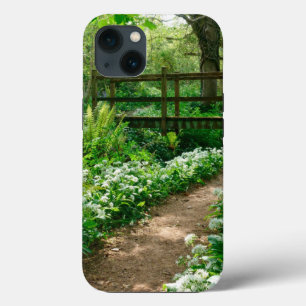 Blommor Vitblommor i skogen