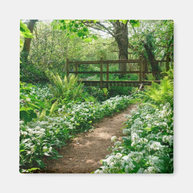 Blommor | Vitblommor i skogen Magnet (Framsidan)