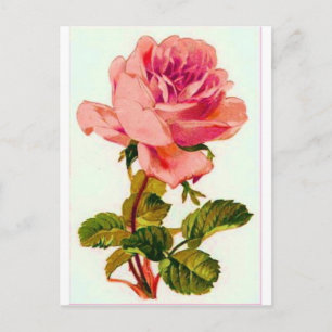 Blommor Vykort