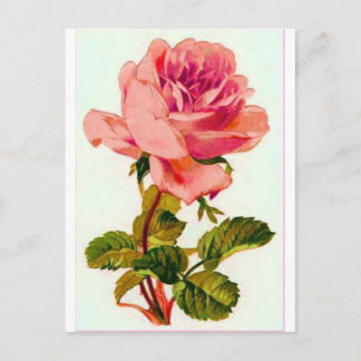 Blommor Vykort