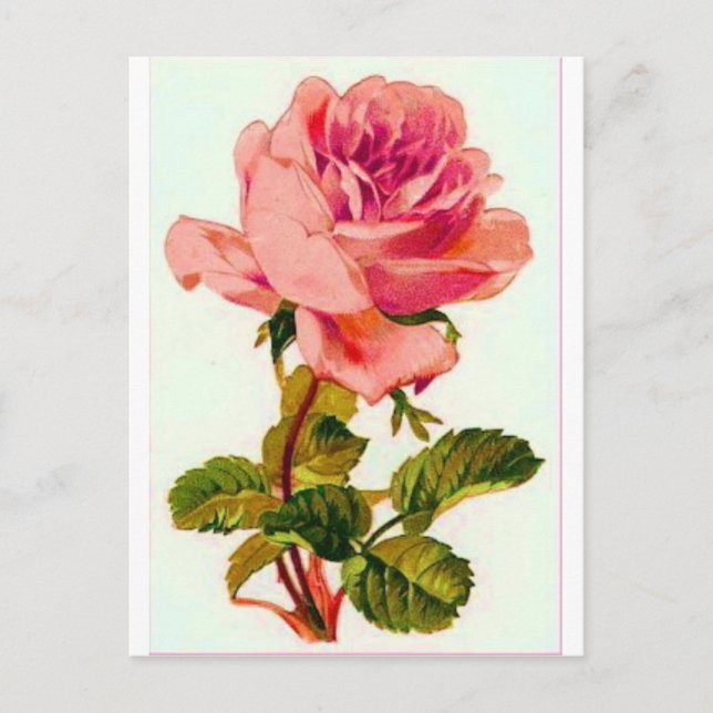 Blommor Vykort (Framsida)