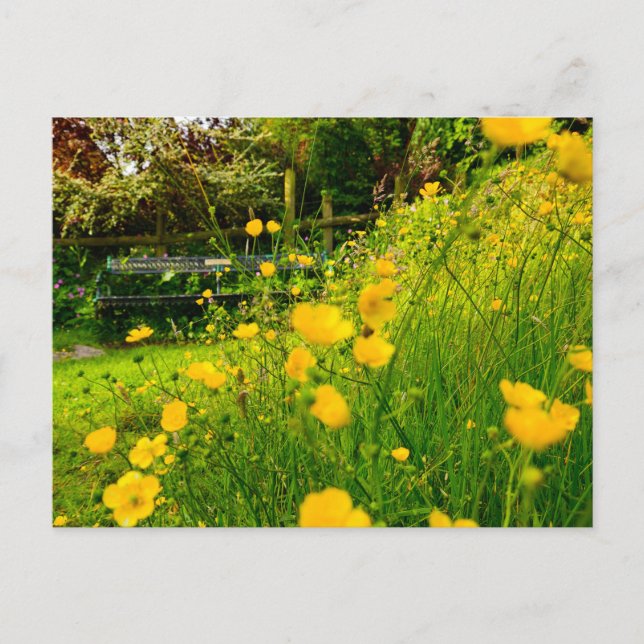 Blommor Vykort (Framsida)