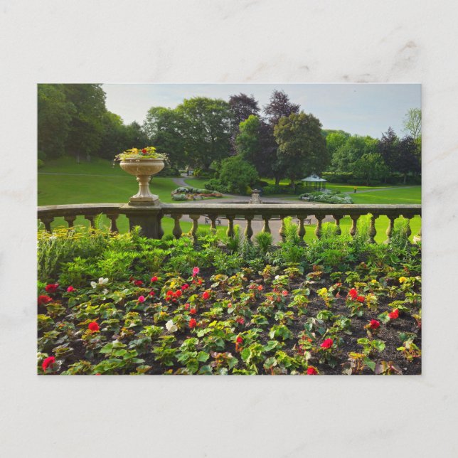 Blommor Vykort (Framsida)