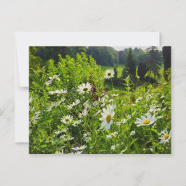 Blommor Vykort