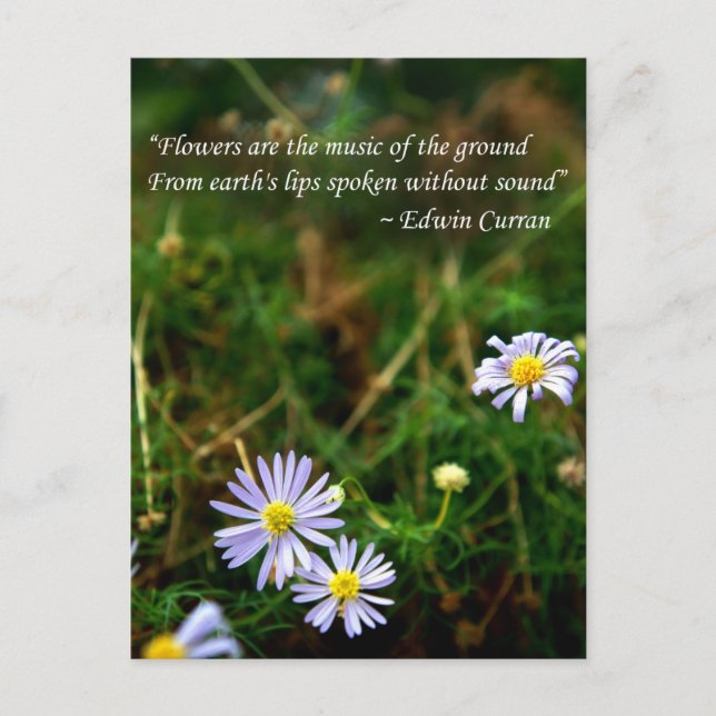 Blommor - vykort (Framsida)