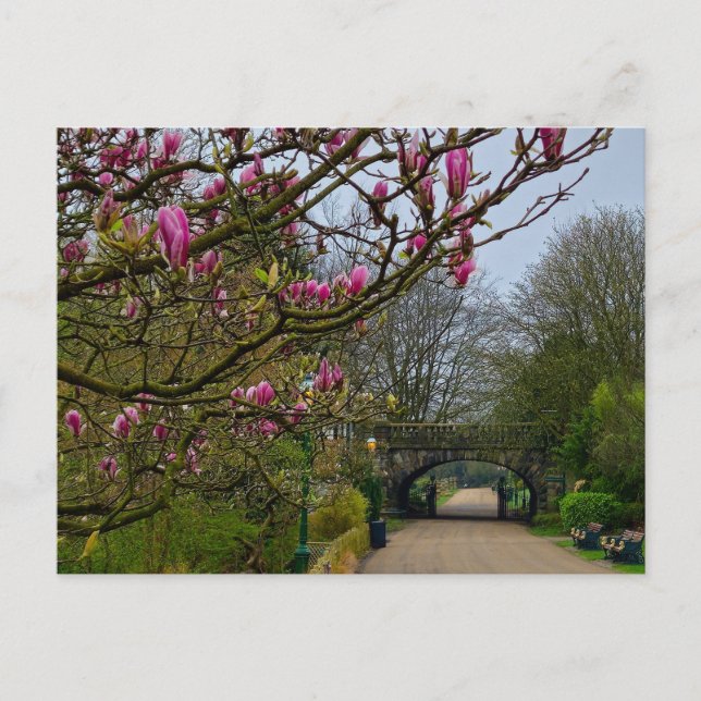 Blommor Vykort (Framsida)