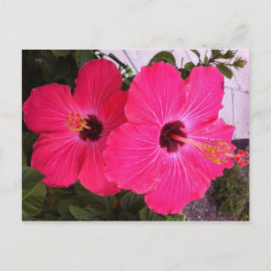 blommor vykort