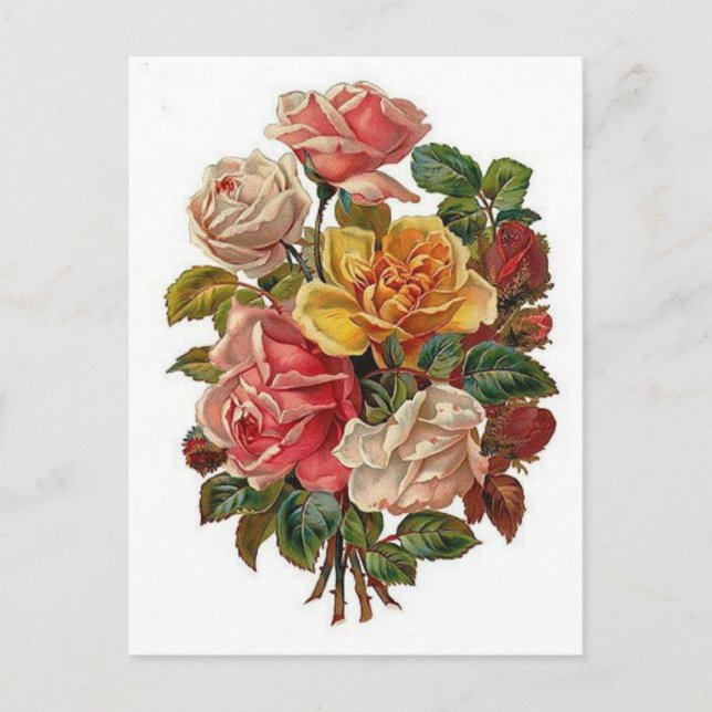 Blommor Vykort (Framsida)