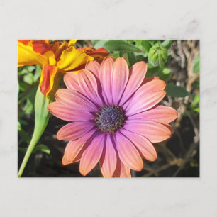 Blommor Vykort