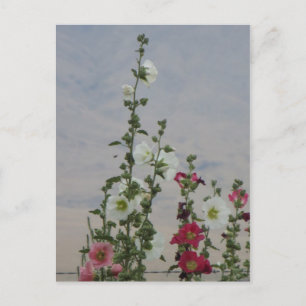 Blommor Vykort