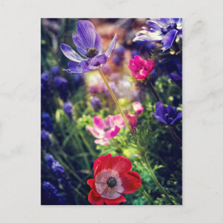 Blommor Vykort