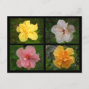 Blommor Vykort