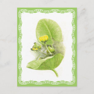 Blommor Vykort
