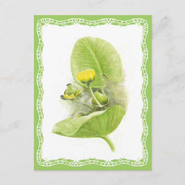 Blommor Vykort (Framsida)