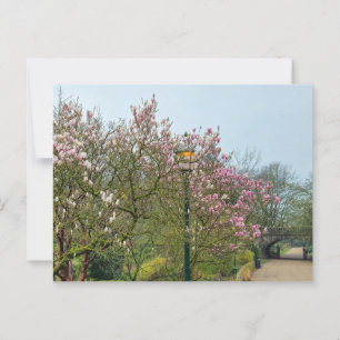Blommor Vykort