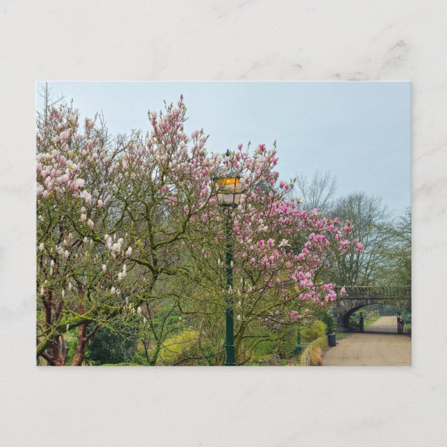 Blommor Vykort (Framsida)