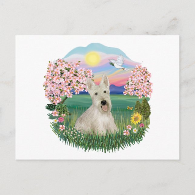 Blommor - Wheaten Scottish Terrier Vykort (Framsida)