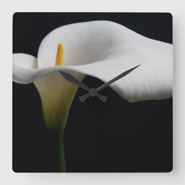 Blommor | White Calla Lily Fyrkantig Klocka (Framsida)