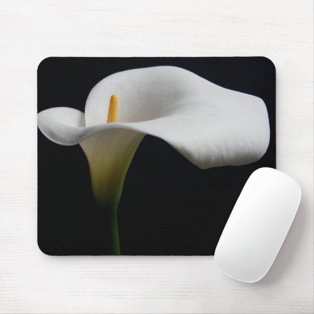 Blommor | White Calla Lily Musmatta (Med mus)
